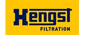 (HENGST) HENGST FILTER E2945LB