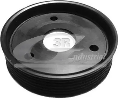 Шкив насоса ГУР (6PK) (29x103x24) (для MSG OP006/OP031) Vivaro Trafic 3RG 10604