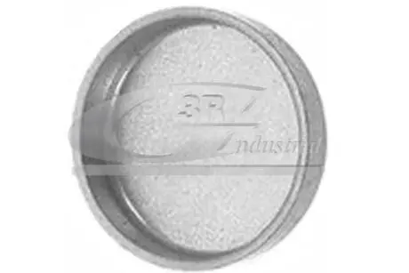 Заглушка блока двигателя 38mm Opel 3RG 84032