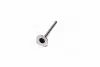 Клапан випускний OPEL 18N/18S/C20NE 36.5x7x103.6 AE V91150 (фото 4)