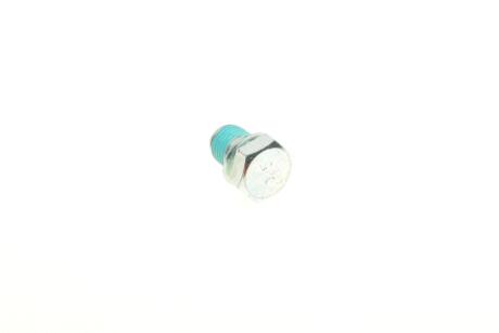 Болт слива растительного масла VW Caddy III/T4/T5/T6/Crafter (M14 x 1.5) AIC 51791