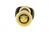 Подушка пневмоподвески (сзади) BMW 5 (F07/F11) 09-17 AIC 70931 (фото 3)