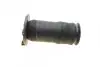 Подушка пневмоподвески (сзади) Land Rover Range Rover 94-02 AIC 71122 (фото 5)