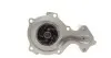 Водяной насос Connect/B/C-Max/Focus/Fiesta 1.0 EcoBoost 12- AIRTEX 1962 (фото 3)