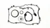 Комплект прокладок Kangoo 1.5 dCi 05- (нижний) 54143100