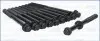 Набір болтів ГБЦ CHEVROLET MW FIAT SEDICI SUBARU JUSTY III SUZUKI GRAND VITARA II, IGNIS I, IGNIS II, JIMNY, LIANA, S-CROSS, SWIFT III, SWIFT IV, SWIFT V, SX4, SX4 S-CROSS 1.3-1.6 09.00- AJUSA 81032000 (фото 2)