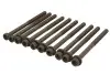 Комплект болтів з головкою системи TORX з чорного металу AJUSA 81041900 (фото 1)