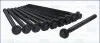 Болти головки блоку Accent/Getz/Matrix 1.5 CRDi 01-10 AJUSA 81042500 (фото 2)
