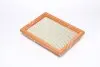Фильтр воздушный (с сеткой)Honda Civic 1,4-1,6L 96-05 / Nissan Almera 1,4-1,6L 96-00 Альфа ALPHA FILTER AF1639S (фото 3)