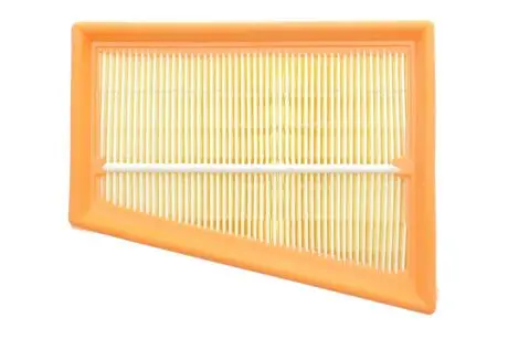 Фільтр повітряний Renault Clio 1.4-1.6 (-12), Duster 1.6-2.0(10-), Espace 2.0(96-02), Kangoo 1.6(08-), Laguna 1.6-2.0 Альфа ALPHA FILTER AF1842