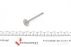 Клапан (выпуск) Audi A4/A6/Skoda Superb/VW Passat 2.5TDI 02-05 (24.1x6x100.5) (азотирование) AMP PAUD067-A-0-N (фото 2)
