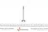 Клапан (выпуск) Audi A4/A6/Skoda Superb/VW Passat 2.5TDI 02-05 (24.1x6x100.5) (азотирование) AMP PAUD067-A-0-N (фото 5)