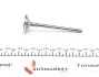 Клапан (впуск) Skoda Fabia/VW Polo/Seat Cordoba/Ibiza 1.2/1.4/1.6 01- (34.5x6x99) (азотирование) AMP PAUD072-S-0-N (фото 3)