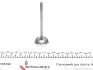 Клапан (впуск) Skoda Fabia/VW Polo/Seat Cordoba/Ibiza 1.2/1.4/1.6 01- (34.5x6x99) (азотирование) AMP PAUD072-S-0-N (фото 5)
