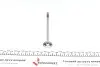 Клапан (випуск) Skoda Fabia/VW Caddy/Polo/Seat Arosa/Ibiza 1.2-1.4 (28x6x99.2) (азотування) AMP PAUD073-A-0-N (фото 5)