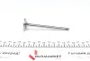 Клапан (випуск) BMW 5 (E39)/7 (E65/E66/E67)/X5 (E53) 2.5/3.0 00-06 (30.5x6x105.7) (азотований) AMP PBMW019-A-0-N (фото 3)
