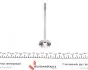 Клапан (выпуск) Chevrolet Aveo/Kalos/Spark/Daewoo Matiz/Tico 0.8--1-2 (31.8x5.5x110.3) (азотированный) AMP PCHE002-B-0-N (фото 5)