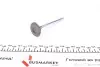 Клапан (впуск) Citroen Berlingo/Peugeot Partner 1.6 16V 00- (31.2x6x103.80) (вальцювання) AMP PCIT026-S-0-D (фото 2)