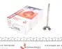 Клапан (выпуск) Citroen C2/C3/Peugeot 206/307/Mazda 2 1.4HDi 01- (30.2x5.5x97.5) (азотирование) AMP PCIT033-A-0-N (фото 1)