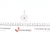 Клапан (випуск) Renault Kangoo 1.9 97- (31,5x8x110) (вальцювання) AMP PREN032-B-0-D (фото 2)