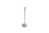 Клапан (впуск) Audi A4/A6/Skoda Octavia/Superb/VW Golf/Passat 1.8-3.0 -10 (27x6x105) (азотированные) AMP PVWG007-S-0-N (фото 2)