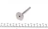 Клапан (выпуск) VW Caddy/LT 28-35/LT 40-55 2.4D 78- (31.2x8x95) (азотированный) AMP PVWG017-A-0-N (фото 2)
