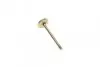Клапан (выпуск) VW Caddy/T5 1.9TDI/2.0SDI/2.0TDI/2.5TDI 03-(31.5x7x89) (азотированный) AMP PVWG138-B-0-N (фото 3)