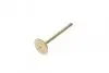 Клапан (выпуск) VW Caddy/T5 1.9TDI/2.0SDI/2.0TDI/2.5TDI 03-(31.5x7x89) (азотированный) AMP PVWG138-B-0-N (фото 5)