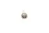 Поршень Chevrolet Aveo 1.5 05- (76.50mm/STD) (к-кт 4 шт) AMP PX-CHE-4F-1405-000 (фото 3)