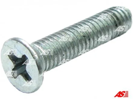 Болт з хрестовидним шліцом з чорного металу AS ARS0024 (фото 1)