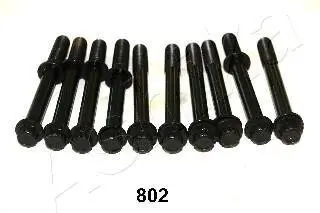 Набір двигунів болтів. ASHIKA 115-08-802