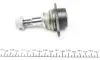 Опора кульова (передня/знизу) BMW 5 (E60) 04-10 ASMETAL 10BM1100 (фото 3)