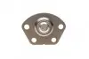 Опора кульова (передня/знизу) Fiat Ducato/Peugeot Boxer (1.4t) 02-06 ASMETAL 10FI3004 (фото 2)