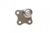 Опора шаровая (передняя) Ford Mondeo -00 ASMETAL 10FR0500 (фото 2)