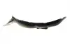 Подкрыльник (передний) VW Caddy IV 16-20 (R) AUTOTECHTEILE 380 5019 (фото 4)