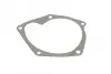 Насос воды Renault Kangoo/Megane/Scenic/Clio/Nissan Almera/Kubistar/Micra 1.5dCi 01- AUTOTECHTEILE 508 0100 (фото 6)