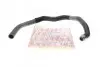 Патрубок радиатора (нижний) Citroen Jumpy/Peugeot Expert 2.0 HDi/Fiat Scudo 2.0 JTD 96-06 AUTOTECHTEILE 508 0334 (фото 1)