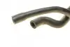 Трубка вентиляції картера BMW 3 (E36/E46) 1.6-1.9 93-01 M43 AUTOTECHTEILE 700 1134 (фото 5)