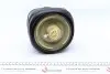 Подушка пневмоподвески (сзади) BMW X5 (E70) 3.0/4.4/4.8 06-14 N52/N57/M57 AUTOTECHTEILE 700 3303 (фото 6)