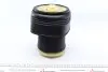 Подушка пневмоподвески (сзади) BMW X5 (E70) 3.0/4.4/4.8 06-14 N52/N57/M57 AUTOTECHTEILE 700 3303 (фото 7)