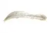 Стекло фары BMW 5 (E39) 95-03 (L) AUTOTECHTEILE 701 6347 (фото 4)