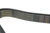 Ремень генератора MB Truck Atego (8PK1480) (9935) AUTOTECHTEILE 908 1480 (фото 3)