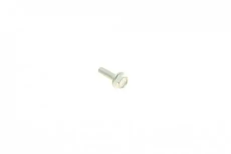 Болт (M6x1x20mm) AUTOTECHTEILE 940 0029