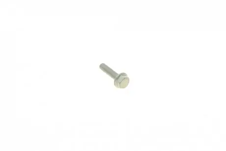 Болт (M6x1x25 мм) AUTOTECHTEILE 940 0030