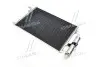 Радиатор кондиционера AVA AVA COOLING DW5056D (фото 1)