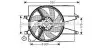 AVA FORD Вентилятор радіатора Fiesta V, Fusion 1.25/1.6, Mazda 2 01- AVA COOLING FD7541 (фото 1)