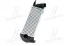 Интеркулер RENAULT KANGOO (Ava) AVA COOLING RTA4471 (фото 2)