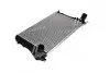 Інтеркулер AUDI; SEAT; SKODA; Volkswagen (AVA) AVA COOLING VNA4306 (фото 4)