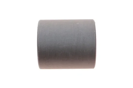 Сайлентблок важеля (переднього/спереду) Fiat Scudo 96- (вставка) BELGUM PARTS BG0609