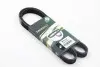 Ремень генератора Kangoo 1.4i 98&gt;/1.6i 02&gt; (-AC) BGA 5PK1110 (фото 3)